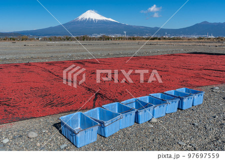 桜えび　天日干し　富士山 97697559