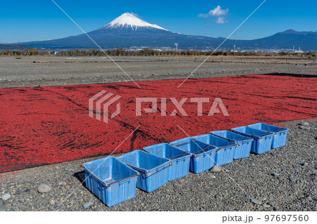 桜えび　天日干し　富士山 97697560
