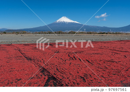 桜えび　天日干し　富士山 97697561