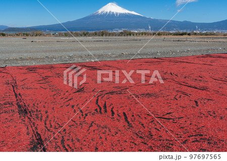 桜えび　天日干し　富士山 97697565