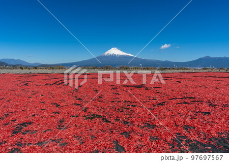 桜えび　天日干し　富士山 97697567