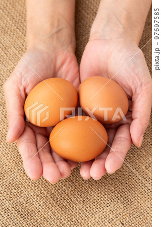 赤玉の平飼い卵 97697585
