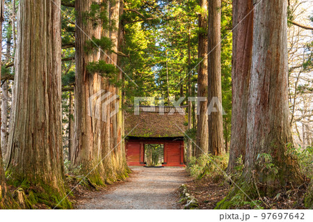 《長野県》戸隠・参道の杉並木 《長野県》戸隠・参道の杉並木 97697642