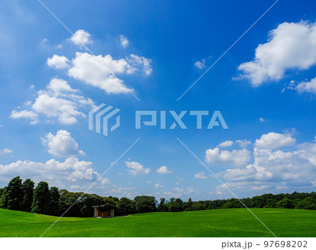 森林公園　広芝生 97698202