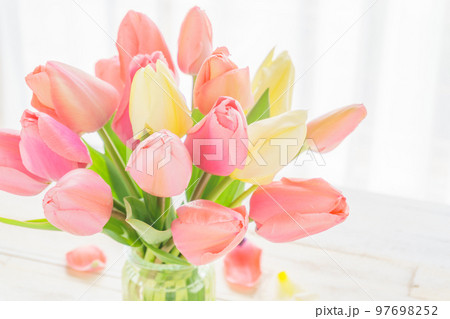 窓辺のチューリップのアレンジメント 窓辺のチューリップのアレンジメント 97698252