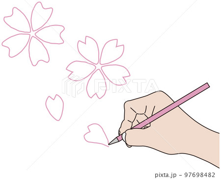 ペンで桜を描く 97698482