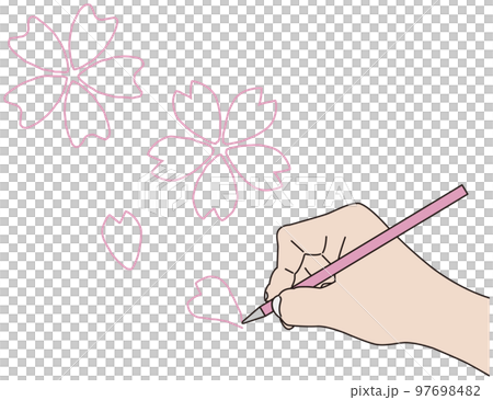 ペンで桜を描く 97698482