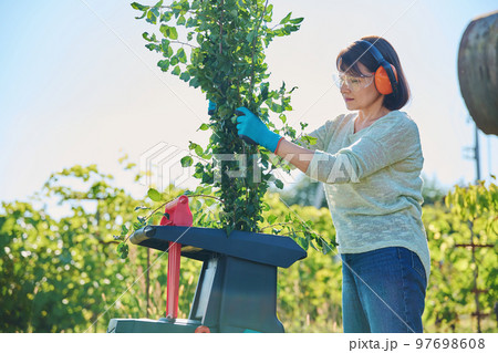 Woman using electric garden shredder for branches and bushes Woman using electric garden shredder for branches and bushes 97698608