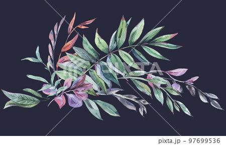 Watercolor vintage tropical leaves greeting card, botanical floral summer summer illustration 97699536