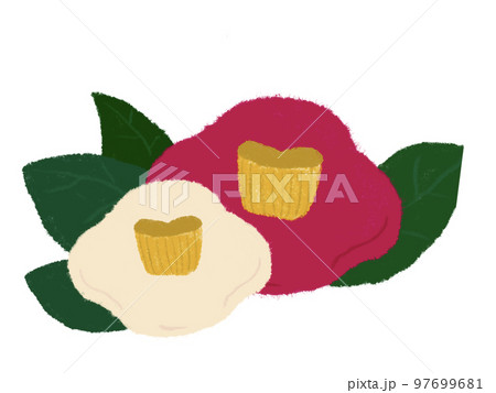 ちぎり絵風　白色ピンク色つばきのシンプルな手描きイラスト 97699681