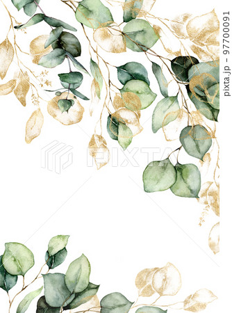 Watercolor border of gold eucalyptus branches, leaves and seeds. Hand painted card of plants isolated on white background. Floral illustration for design, print, fabric or background. 97700091
