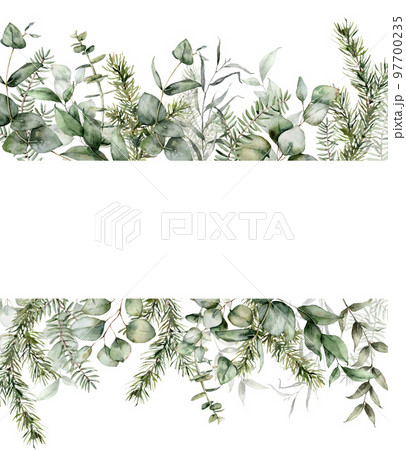 Watercolor Christmas banner with fir and eucalyptus branches. Hand painted holiday plants isolated on white background. Floral illustration for design, print, fabric or background. 97700235