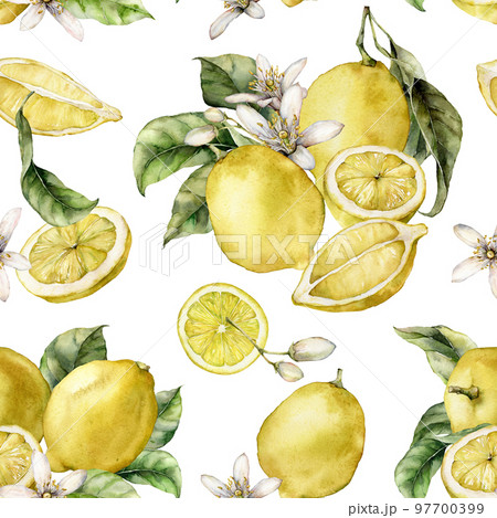 Watercolor seamless pattern of blooming flowers, ripe lemons and leaves. Hand painted fresh fruits isolated on white background. Tasty food illustration for design, print, fabric or background. 97700399