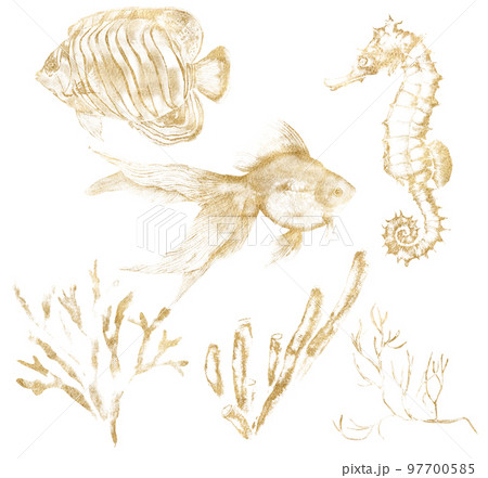 Watercolor tropical set of gold seahorse, fishes and corals. Underwater linear plants and animals isolated on white background. Aquatic illustration for design, print or background. 97700585