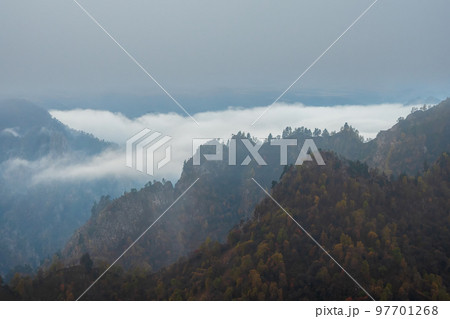 Soft focus. Cool morning fog over the forest mountain slopes. 97701268