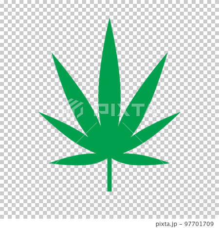 大麻草アイコン。大麻の原料。ベクター。 大麻草アイコン。大麻の原料。ベクター。 97701709