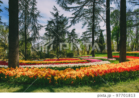 Emirgan Park, Istanbul Emirgan Park, Istanbul 97701813