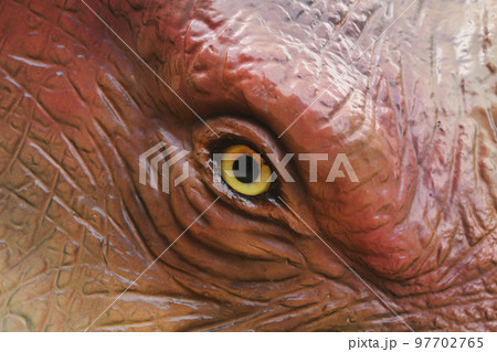 The dinosaur eye pupil close up yellow eyes. 97702765