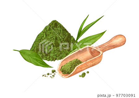 Watercolor dry organic green Japanese matcha latte in wooden bowl, empty food scoop and leaves. Hand drawn cartoon illustration, isolated on white background. For web design, menu, app, advert 97703091