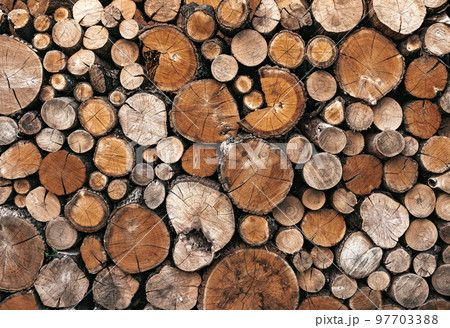 Rustic background with a circle firewood logs stacked in a wall. 97703388