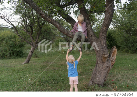 Little fair-haired sister pulls blond brother by legs sitting on branch of tree. Active childrens games in summer outdoors Little fair-haired sister pulls blond brother by legs sitting on branch of tree. Active childrens games in summer outdoors 97703954