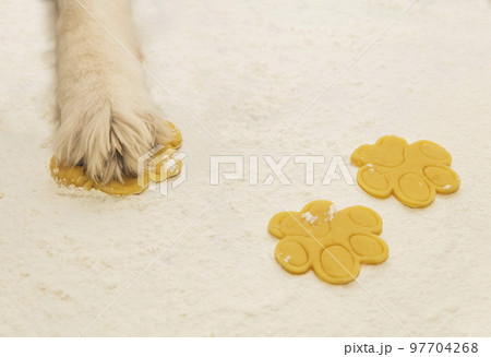 Dog chef makes cookies from dough in the kitchen 97704268