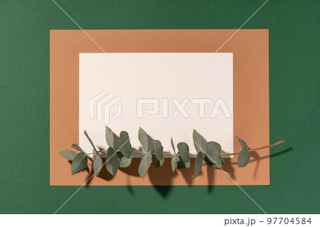 Wedding invitation mockup, blank white card with green eucalyptus branch. Floral greeting blank. Minimal scene with copy space. Top view. Wedding invitation mockup, blank white card with green eucalyptus branch. Floral greeting blank. Minimal scene with copy space. Top view. 97704584