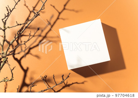 Empty white square mockup podium for product presentation on orange background with hard light and shadows. Trendy design flat lay with copy space. Top view. Empty white square mockup podium for product presentation on orange background with hard light and shadows. Trendy design flat lay with copy space. Top view. 97704618