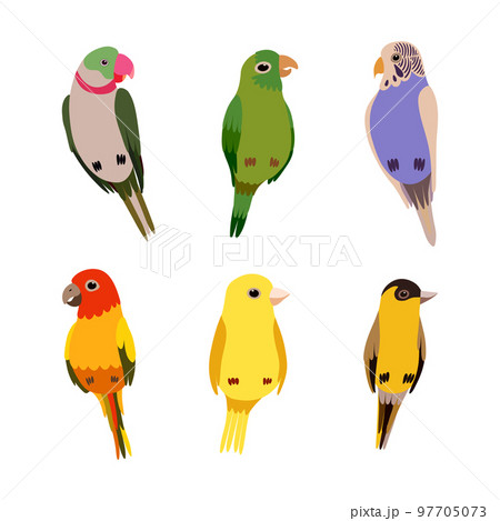 Perching Birds as Winged Feathered Creature with Bright Plumage Vector Set 97705073