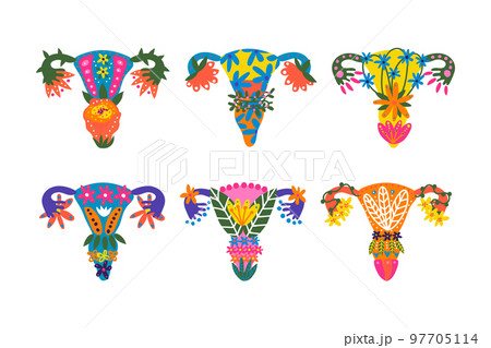 Uterus or Womb Arranged from Flowers and Plants as Healthy Female Reproductive System Organ Vector Set Uterus or Womb Arranged from Flowers and Plants as Healthy Female Reproductive System Organ Vector Set 97705114
