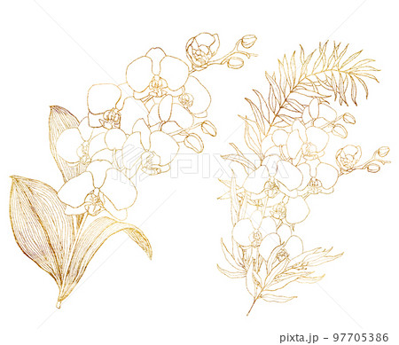 Watercolor line art bouquet with golden orchids. Hand painted tropical card with flowers, branches and palm leaves isolated on white background. Floral illustration for design, print or background. 97705386