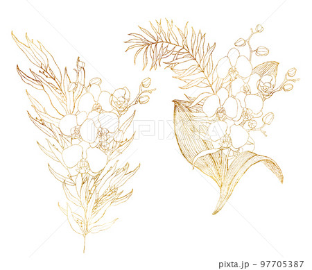 Watercolor line art bouquet with golden orchids and palm leaves. Hand painted tropical card with flowers and branches isolated on white background. Floral illustration for design, print or background. 97705387