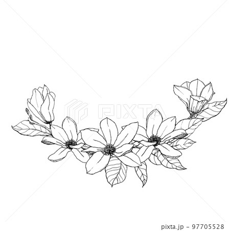 Watercolor floral bouquet with line art magnolias, leaves and buds. Hand painted card with flowers isolated on white background. Spring illustration for design, print, fabric or background. Watercolor floral bouquet with line art magnolias, leaves and buds. Hand painted card with flowers isolated on white background. Spring illustration for design, print, fabric or background. 97705528