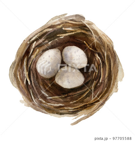 Watercolor easter card with birds nest. Hand painted spring nest with eggs isolated on white background. Holiday wildlife illustration for design, print, fabric or background. Watercolor easter card with birds nest. Hand painted spring nest with eggs isolated on white background. Holiday wildlife illustration for design, print, fabric or background. 97705588