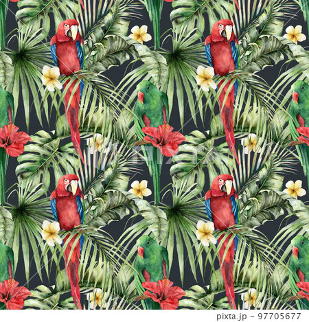 Watercolor tropical seamless pattern with parrots, plumeria and hibiscus. Hand painted birds, flowers and palm leaves. Floral illustration isolated on black background for design, print or background. 97705677
