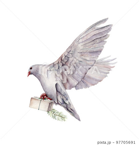 Watercolor card with the flight of a white dove and gift box. Hand painted pigeon bird isolated on white background. Easter illustration for design, print, fabric or background. Spring bird. Watercolor card with the flight of a white dove and gift box. Hand painted pigeon bird isolated on white background. Easter illustration for design, print, fabric or background. Spring bird. 97705691