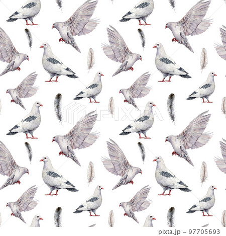 Watercolor seamless pattern with a white dove. Hand painted pigeon bird isolated on white background. Easter illustration for design, print, fabric or background. Spring bird. 97705693
