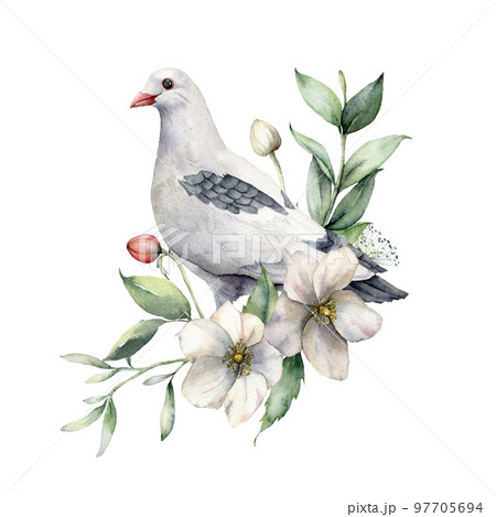 Watercolor spring illustration with a bouquet of anemones and dove. Hand-painted birds and flowers isolated on white background. Wildlife scene for design, print, fabric. Easter card template. 97705694