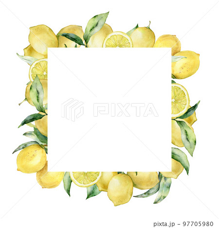 Watercolor tropical square border with lemon and leaves. Hand painted exotic card with plant isolated on white background. Floral illustration for design, print, fabric or background. 97705980