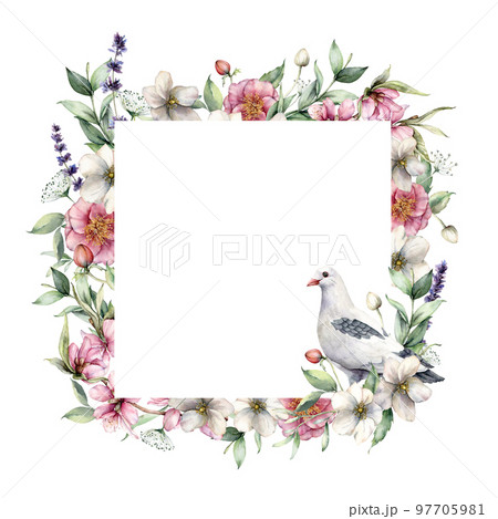 Watercolor floral frame with anemones and dove. Hand painted flowers, bird, eucalyptus leaves and roses isolated on white background. Spring illustration for design, print, fabric, background. 97705981