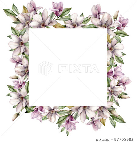 Watercolor square border with magnolias, buds and leaves. Hand painted floral frame with flowers isolated on white background. Holiday spring illustration for design, print, fabric or background. 97705982