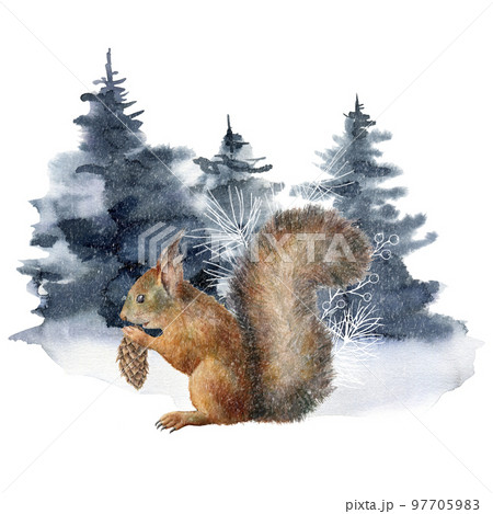 Watercolor Christmas composition with squirrel and winter forest. Hand painted holiday card with fir, animal and cones isolated on white background. Illustration for design, print, fabric, background. 97705983