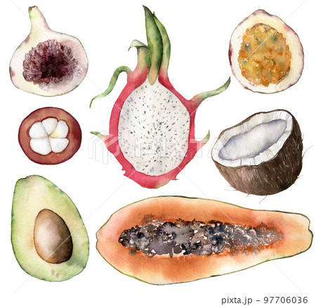 Set of watercolor tropical fruits. Hand painted avocado, coconut, dragon fruit, fig, mangostana, passion fruit and papaya on white background. Food illustration for design, print, fabric, background. 97706036