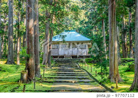秋の平泉寺白山神社　福井県勝山市 97707112
