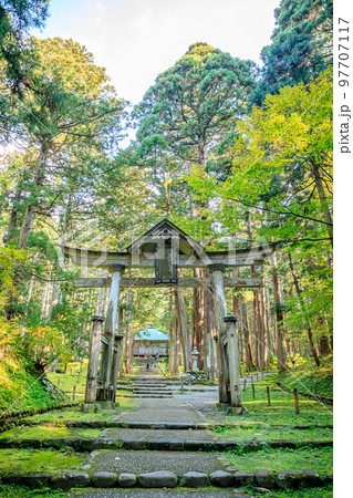 秋の平泉寺白山神社 福井県勝山市 秋の平泉寺白山神社 福井県勝山市 97707117