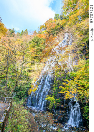 秋の龍双ヶ滝 福井県今立郡 秋の龍双ヶ滝 福井県今立郡 97707121