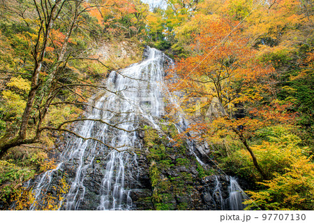 秋の龍双ヶ滝 福井県今立郡 秋の龍双ヶ滝 福井県今立郡 97707130