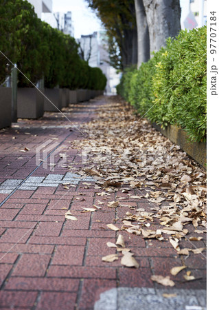 歩道・落ち葉・街並み・郊外・通り・秋・冬・影・足元・アップ 97707184