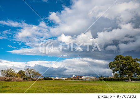 冬の淀川河川公園　寝屋川市 97707202