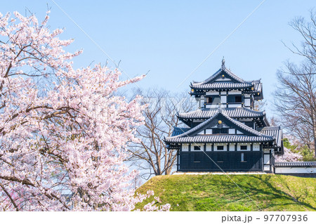 高田城址公園（春） 97707936